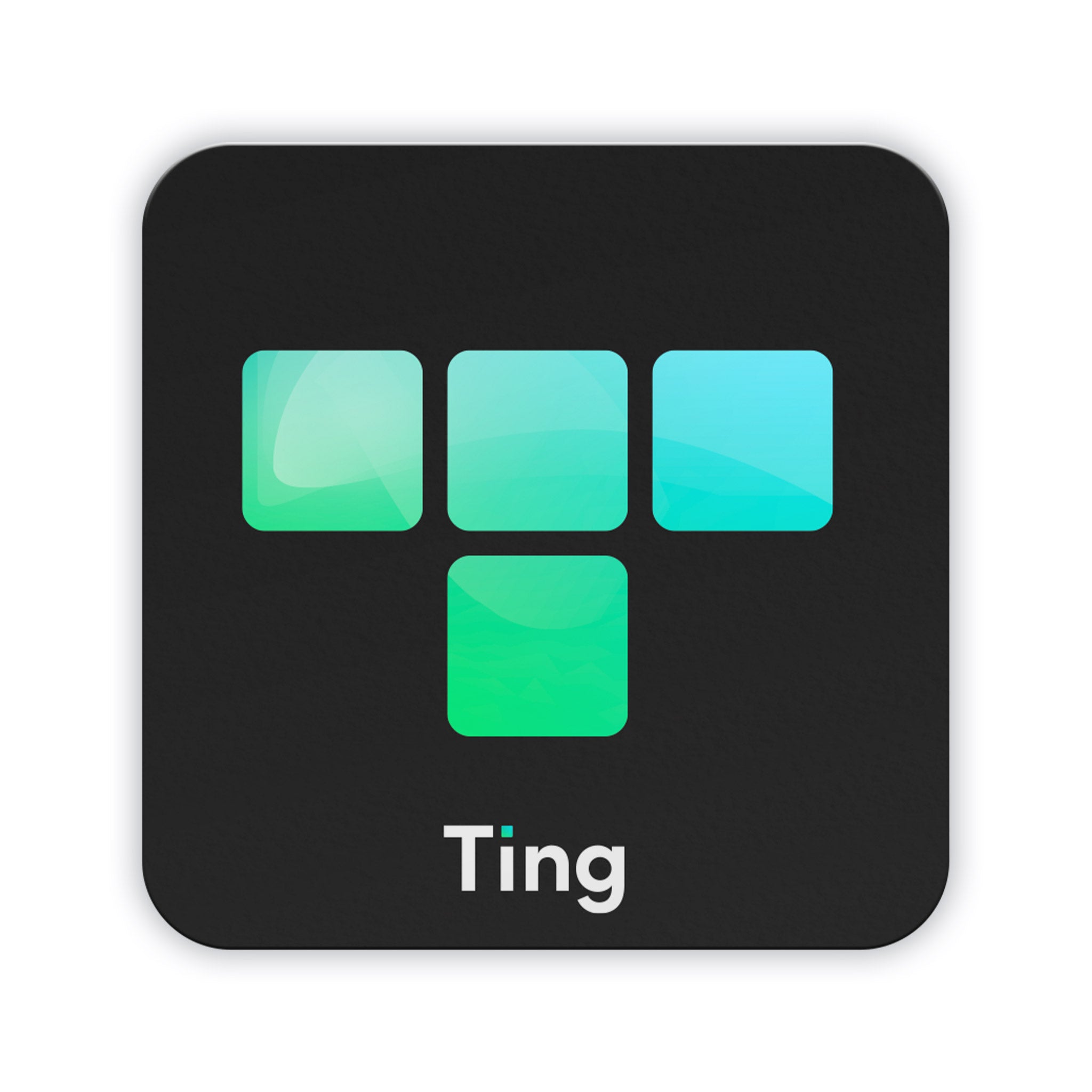 Black Logo Ting Tag